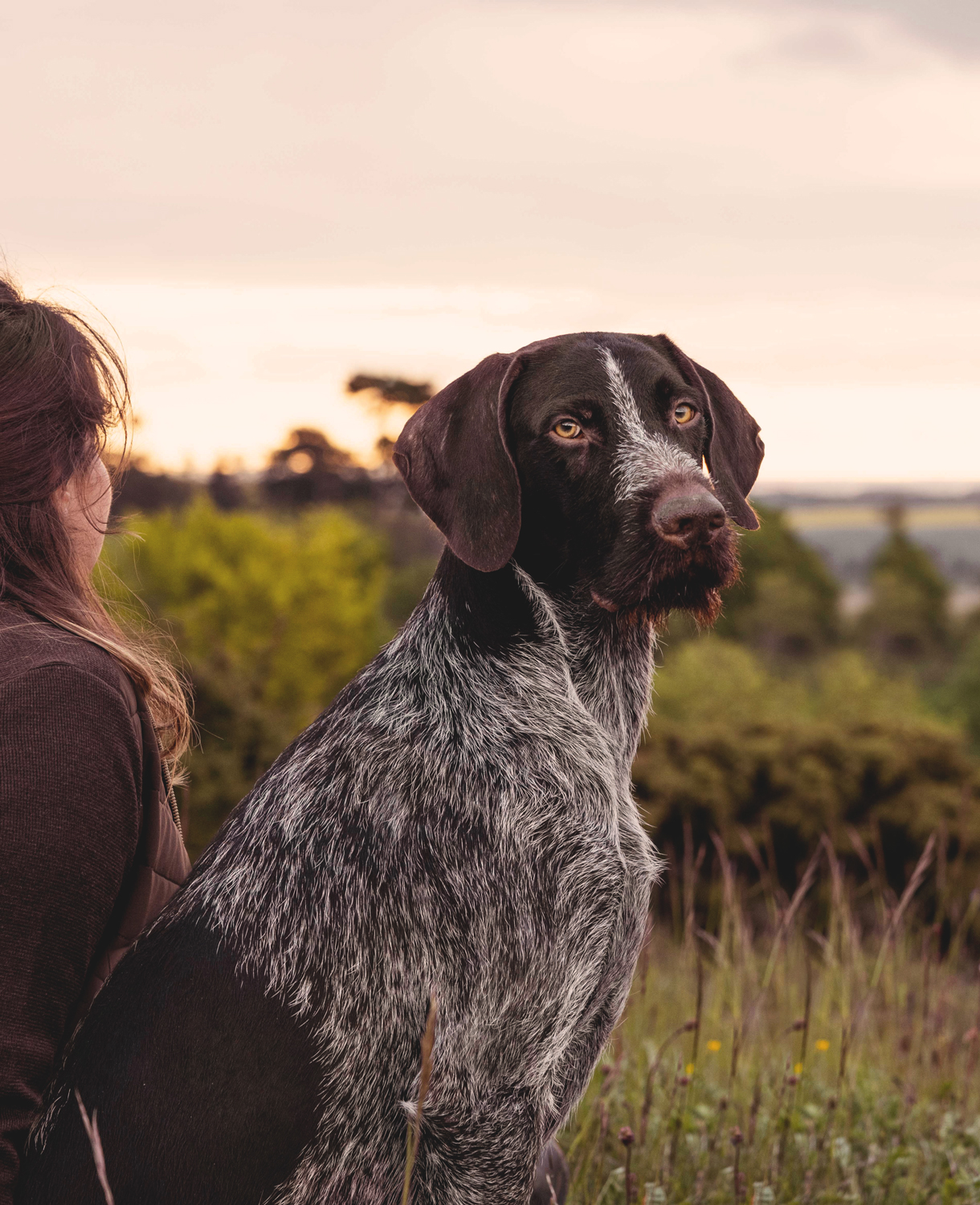 Woman watching the sunset with her dog by her side